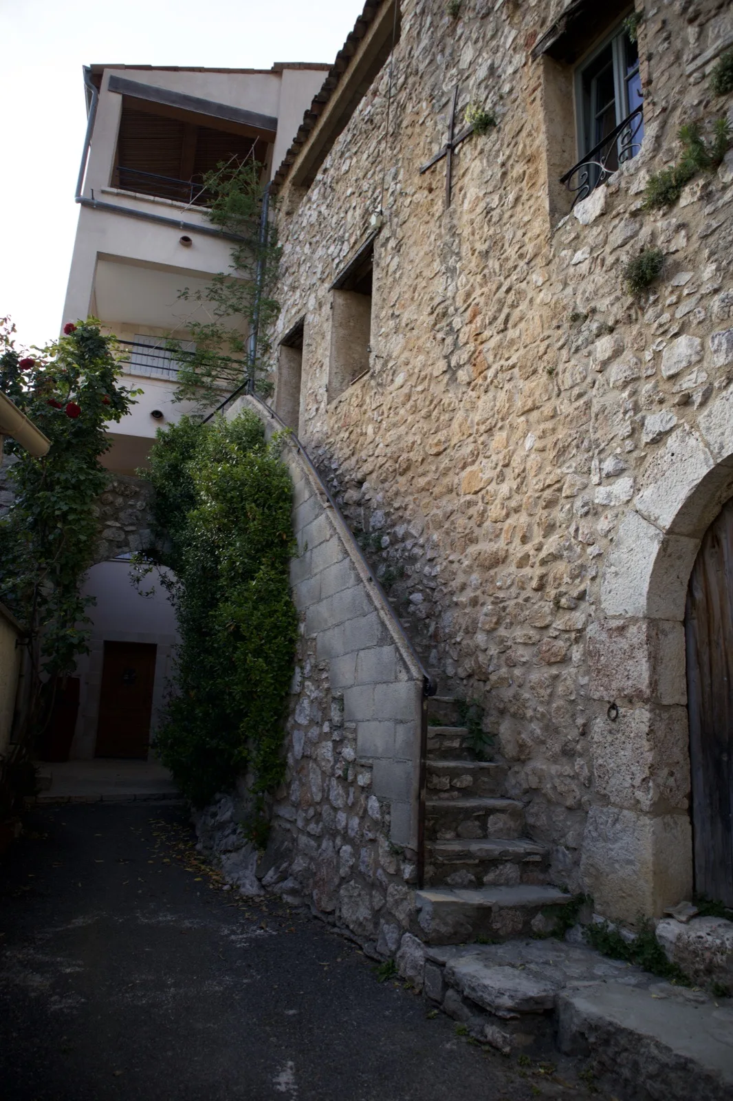Roses sur l'étagère