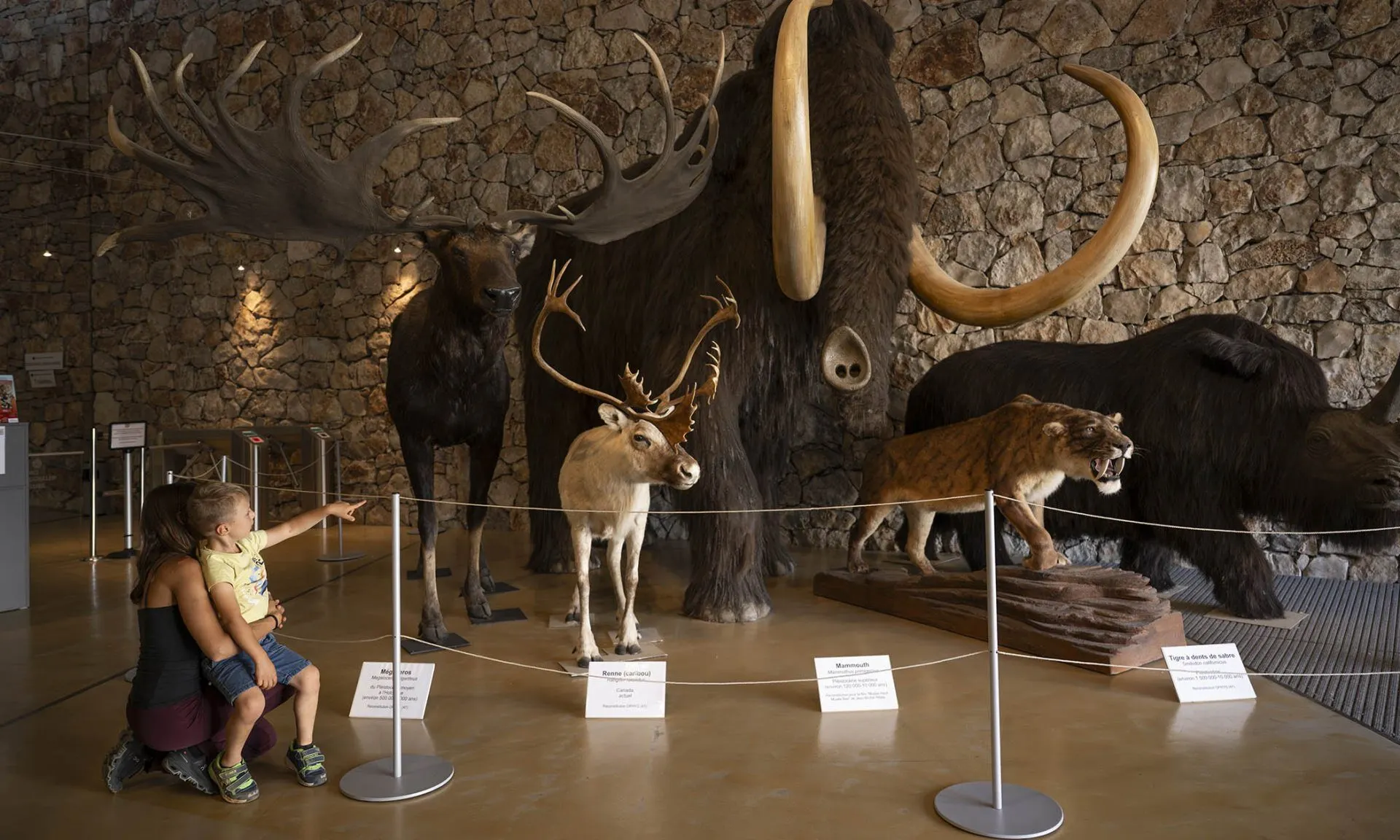 Musée de Préhistoire